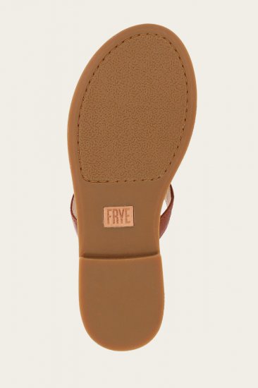 Frye Taylor Logo Sandal - Cinnamon - Click Image to Close