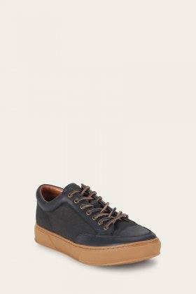 Frye Hoyt Low Lace - Black